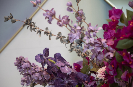 Common Lilac Flowers